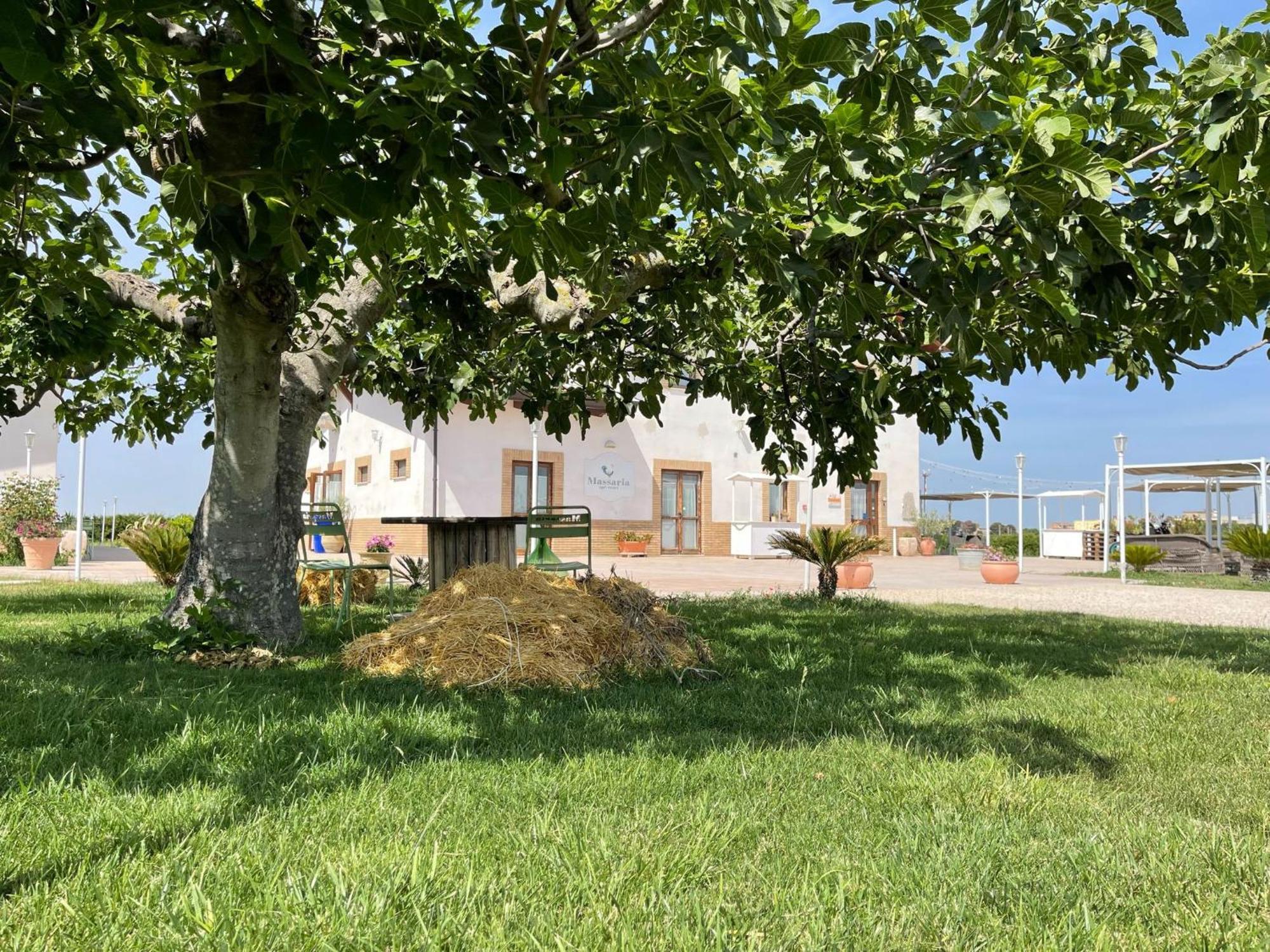 La Massaria Agriresort Orta Nova Exterior photo